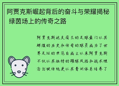 阿贾克斯崛起背后的奋斗与荣耀揭秘 绿茵场上的传奇之路